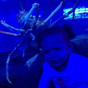 Meet your Posher, Glorimi